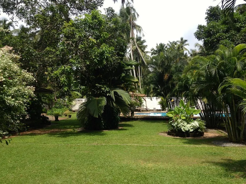 Hotel Fire Dragon Hideaway Negombo Pensjonat