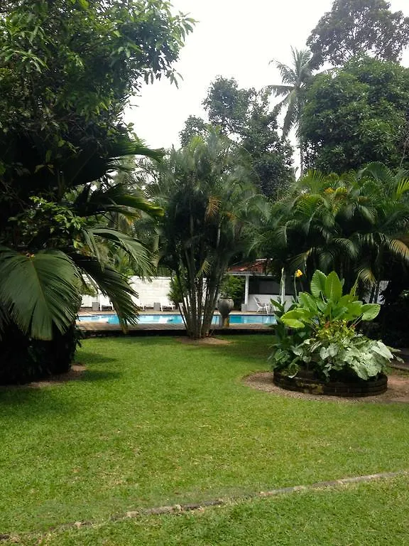 Hotel Fire Dragon Hideaway Negombo Pensjonat