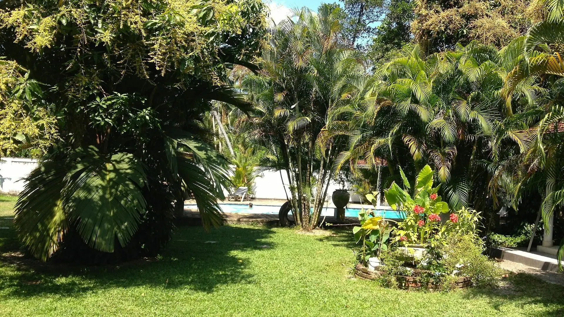 Hotel Fire Dragon Hideaway Negombo