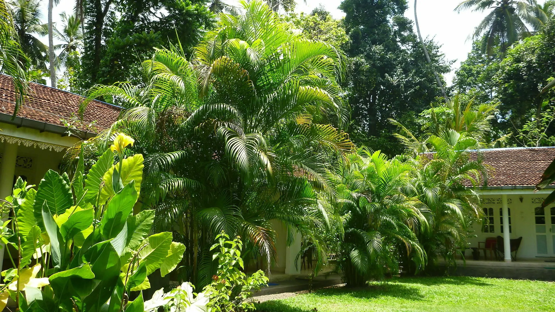 Hotel Fire Dragon Hideaway Negombo 3*,