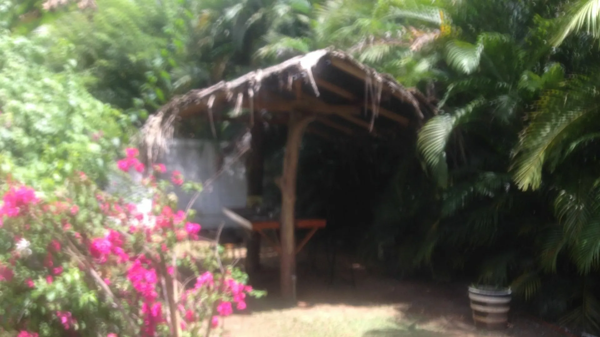 Fire Dragon Hideaway Hotel Negombo Sri Lanka